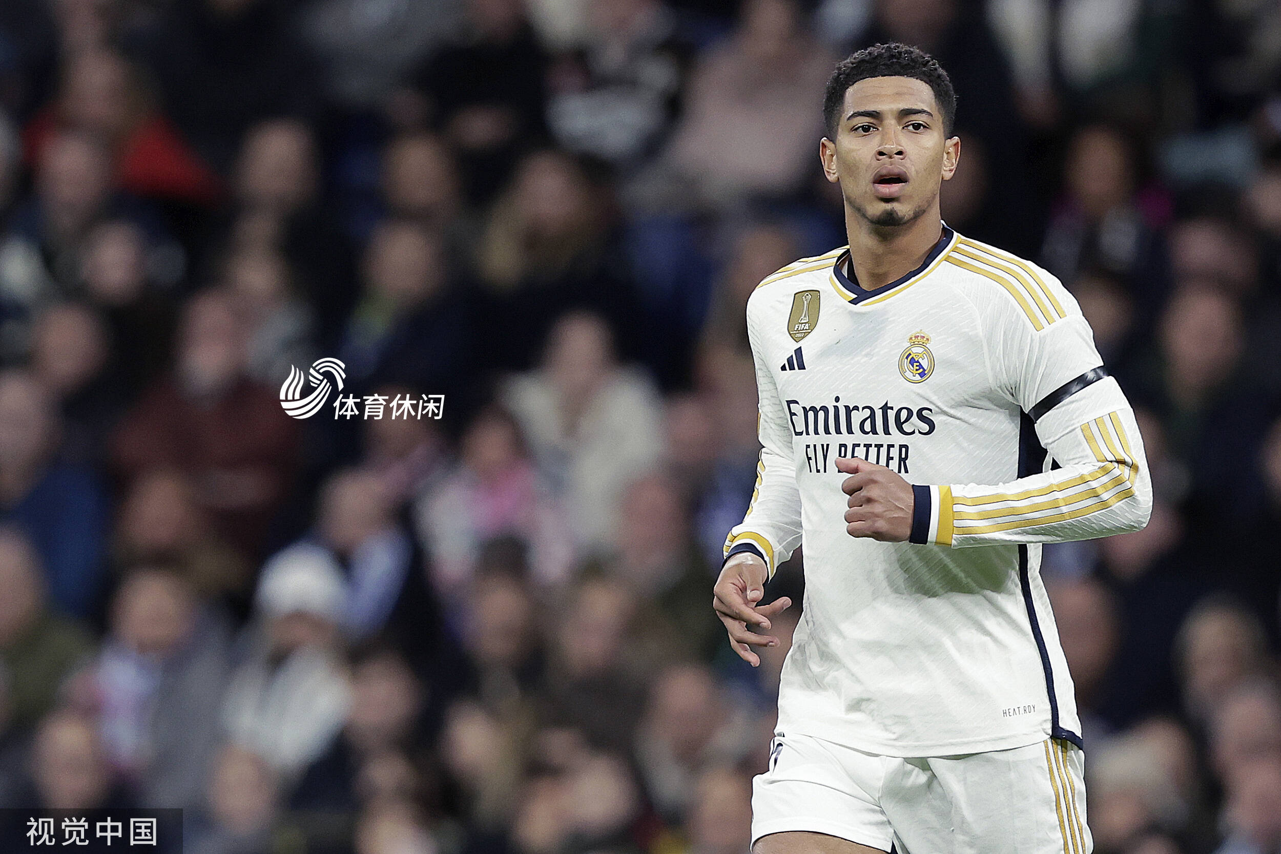 由此观之 由此观之